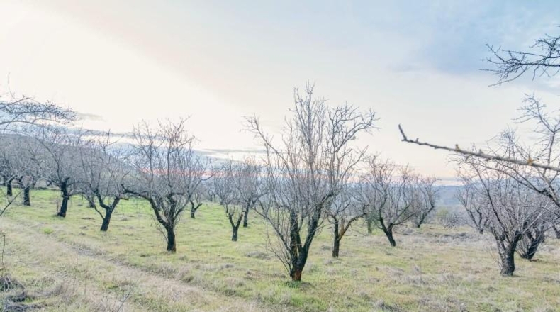 Granada - Pinos Genil - 71m2