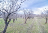 Terreno no urbanizable en venta en la España, Pinos Genil, ref: TR404377 foto