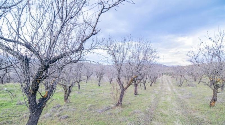 Granada - Pinos Genil - 71m2