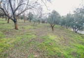 Terreno no urbanizable en venta en la España, Pinos Genil, ref: TR404377 foto