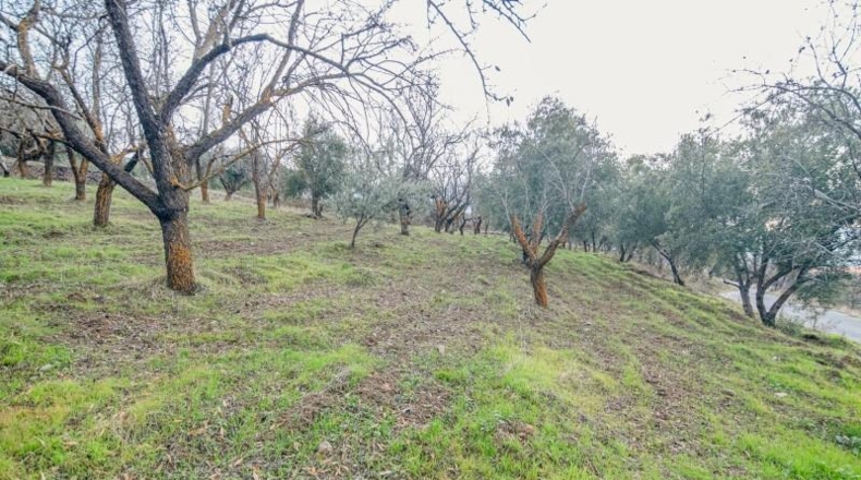 Granada - Pinos Genil - 71m2