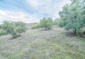 Terreno no urbanizable en venta en la España, Pinos Genil, ref: TR404377 foto