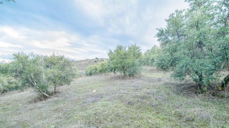 Granada - Pinos Genil - 71m2