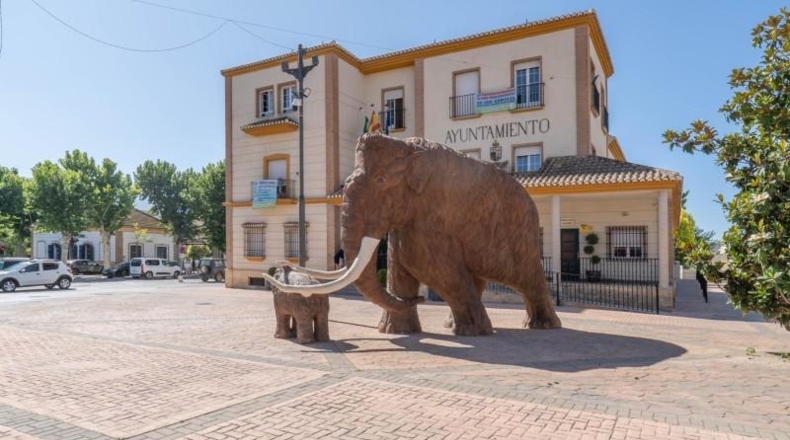 Granada - Padul - 504m2