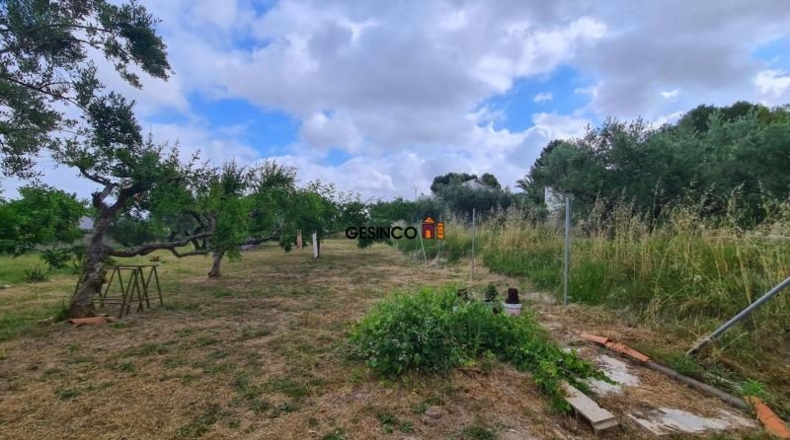 València - Ontinyent - 4547m2