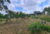 Casa de campo con terreno en venta en la España, Ontinyent, ref: TR412086 foto