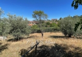 Chalet independiente con terreno en venta en la España, Barajas de Melo, ref: TR410258 foto