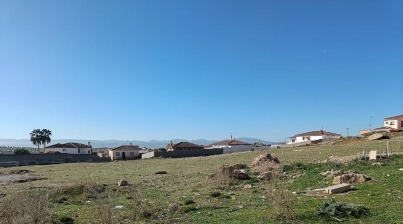 Granada - Íllora - 8079m2