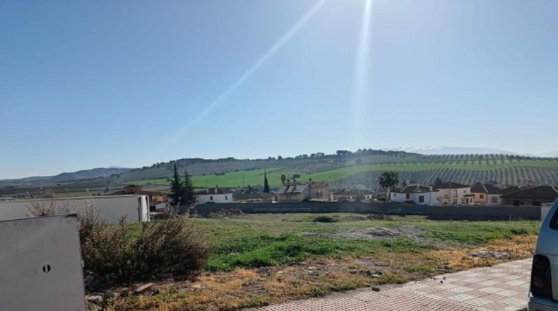 Granada - Íllora - 8079m2