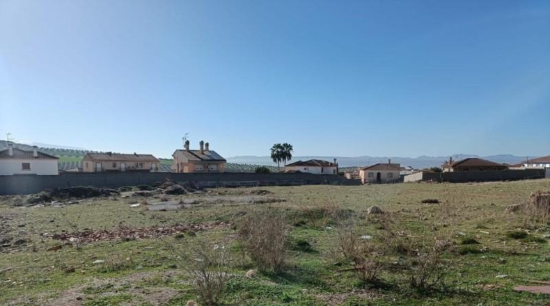 Granada - Íllora - 8079m2