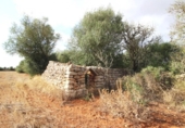 Terreno no urbanizable en venta en la España, Felanitx, ref: TR115402 foto
