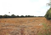 Terreno no urbanizable en venta en la España, Felanitx, ref: TR115402 foto