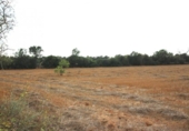 Terreno no urbanizable en venta en la España, Felanitx, ref: TR115402 foto