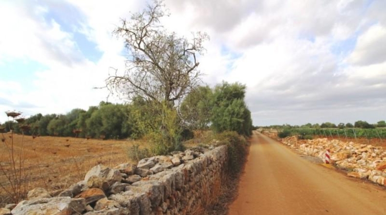 Balearic Islands - Felanitx - 15000m2