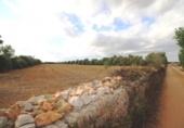 Terreno no urbanizable en venta en la España, Felanitx, ref: TR115402 foto