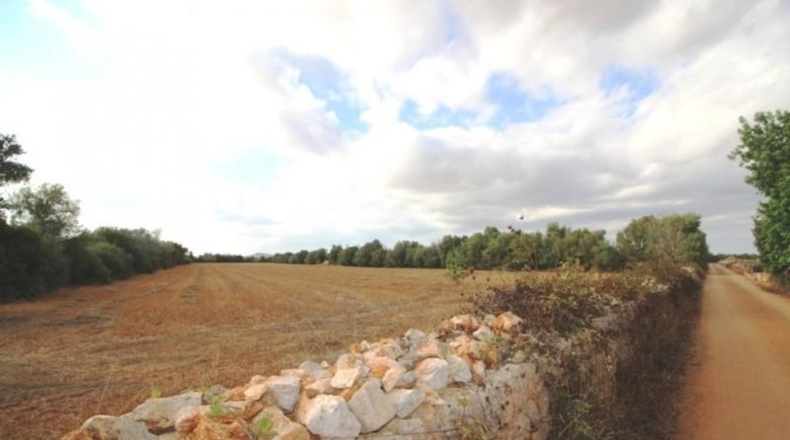Balearic Islands - Felanitx - 15000m2
