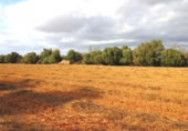 Terreno no urbanizable en venta en la España, Felanitx, ref: TR115402 foto