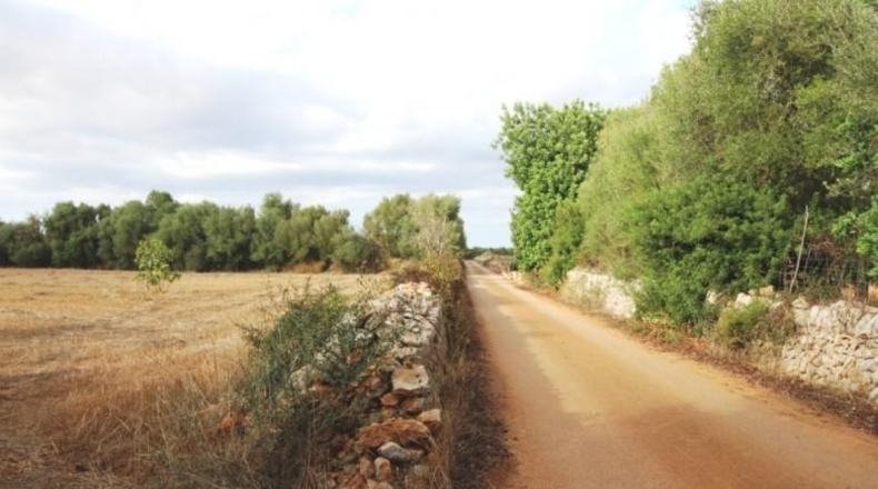 Balearic Islands - Felanitx - 15000m2