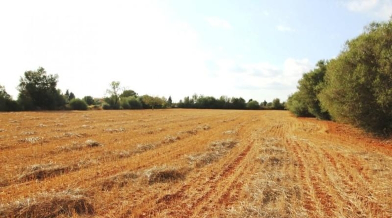 Balearic Islands - Felanitx - 15000m2