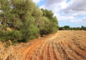 Terreno no urbanizable en venta en la España, Felanitx, ref: TR115402 foto