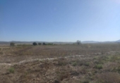 Terreny no urbanitzable en venda a la España, Almansa, ref.: TR125649 foto