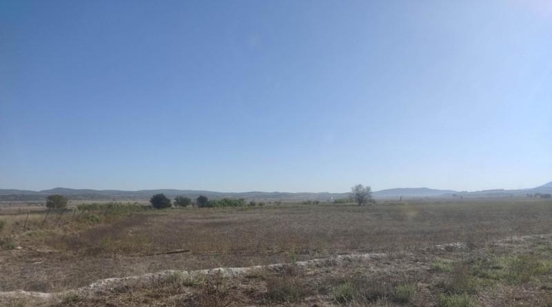 Albacete - Almansa - 35709m2