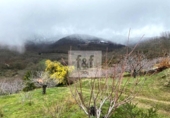 Parcela urbanizable en venta en la España, Tornavacas, ref: TR308685 foto