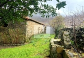 Parcela urbanizable en venta en la España, Tornavacas, ref: TR308685 foto