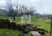 Parcela urbanizable en venta en la España, Tornavacas, ref: TR308685 foto