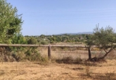 Chalet independiente con terreno en venta en la España, Amposta, ref: TR391661 foto