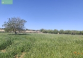 Terreno no urbanizable en venta en la España, Ariany, ref: TR406491 foto