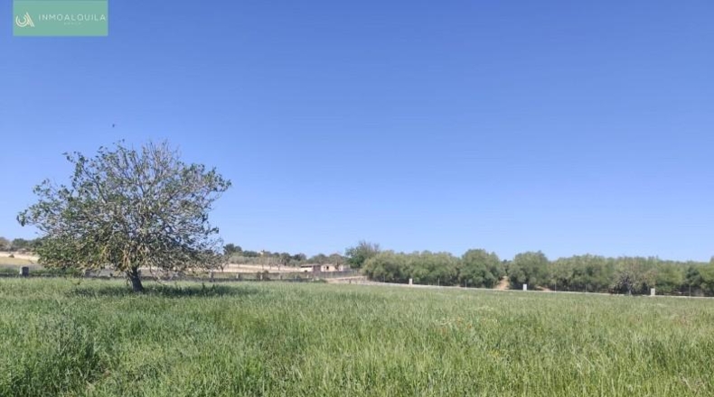 Illes Balears - Ariany - 18577m2