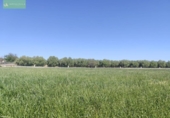 Terreno no urbanizable en venta en la España, Ariany, ref: TR406491 foto