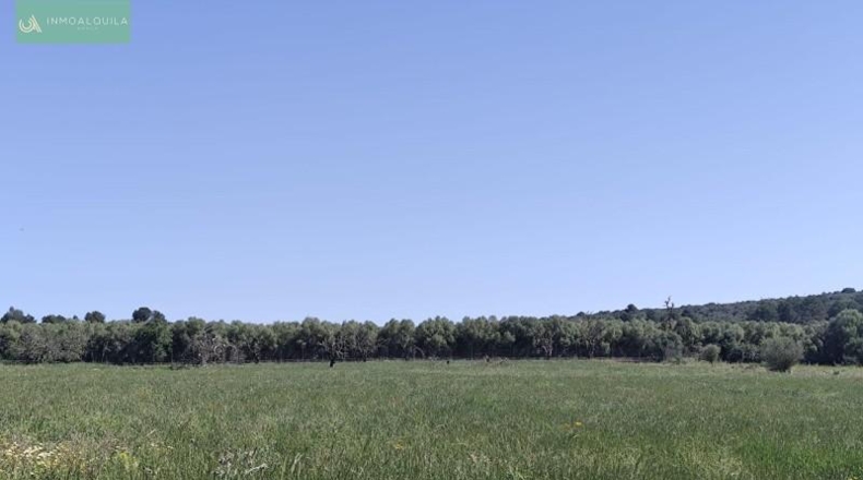 Illes Balears - Ariany - 18577m2