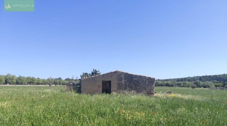 Illes Balears - Ariany - 18577m2