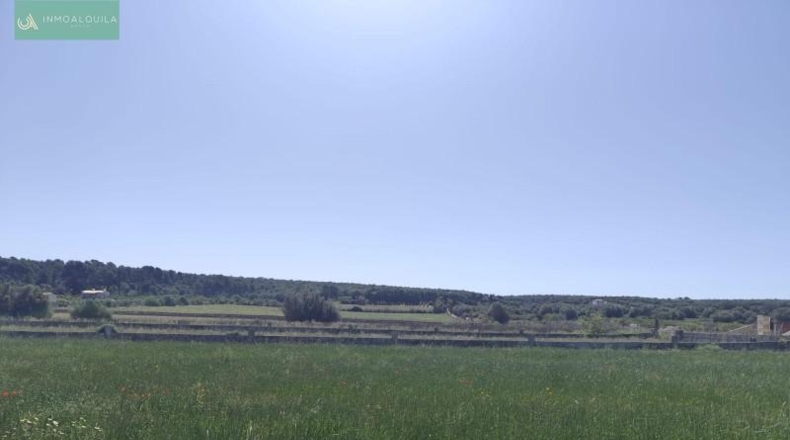 Illes Balears - Ariany - 18577m2