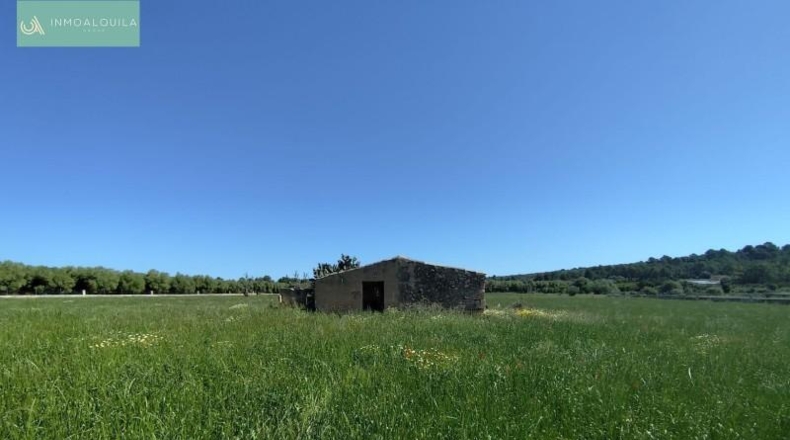 Illes Balears - Ariany - 18577m2