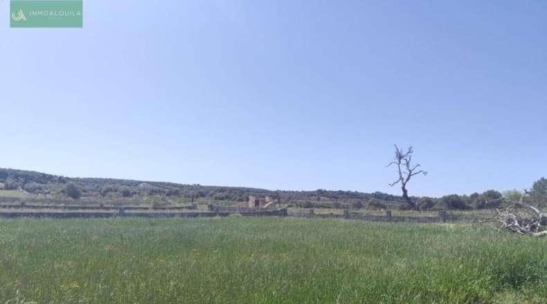 Illes Balears - Ariany - 18577m2