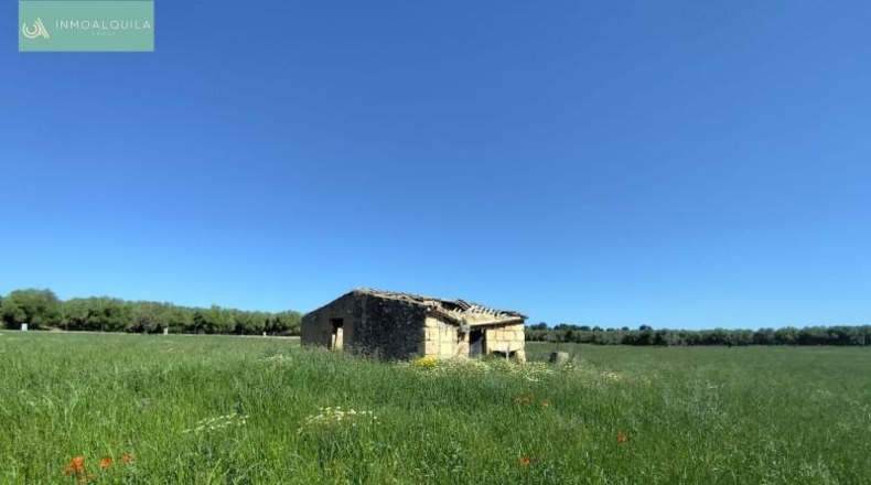 Illes Balears - Ariany - 18577m2