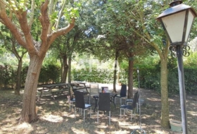 Foto 12