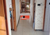 Chalet independiente con terreno en venta en la España, Lugo, ref: TR399062 foto