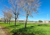 Chalet independiente con terreno en venta en la España, Pozoblanco, ref: TR367666 foto
