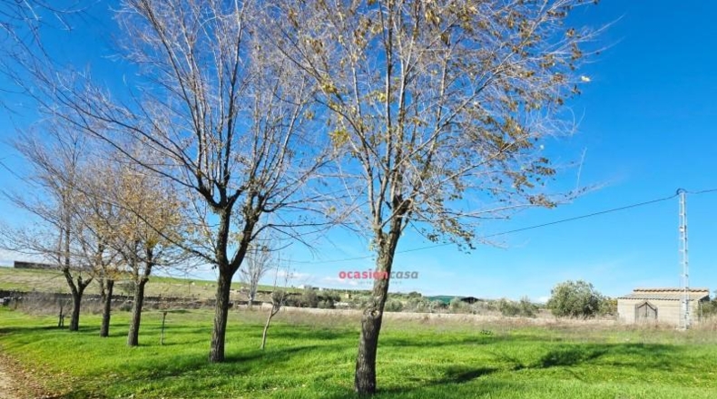 Córdoba - Pozoblanco - 21000m2