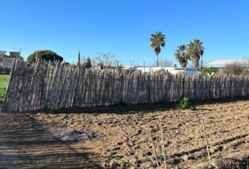 Foto 17