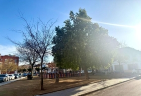 Foto 17