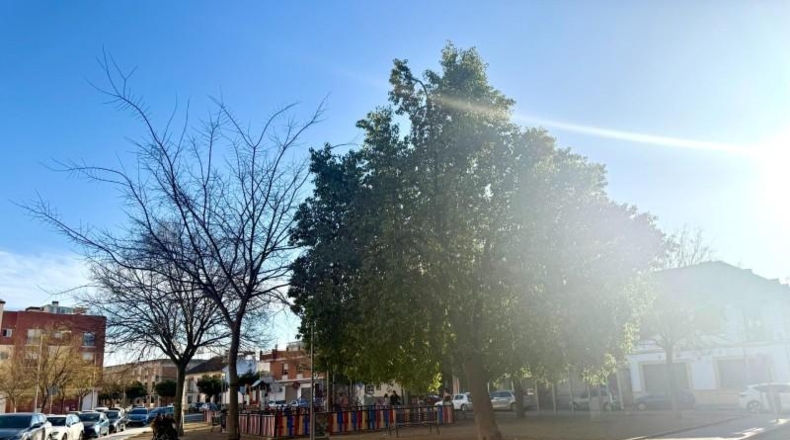 Córdoba - Córdoba - 119m2