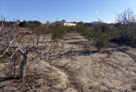 Huércal-Overa 3500&nbsp;m²