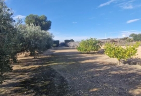Foto 14