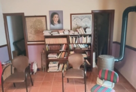 Foto 7