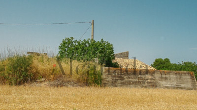 Islas Baleares - Muro - 11809m2